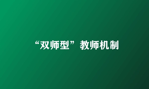 “双师型”教师机制