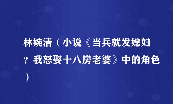 林婉清（小说《当兵就发媳妇？我怒娶十八房老婆》中的角色）