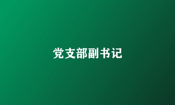 党支部副书记