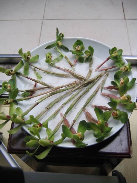 钱凿菜