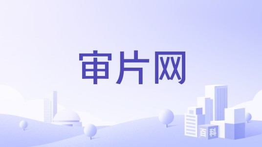 审片网