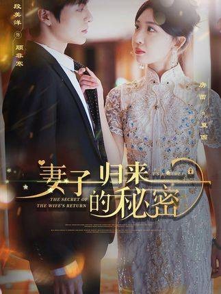 妻子归来的秘密