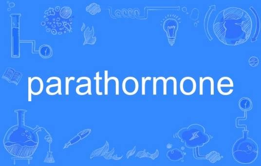parathormone
