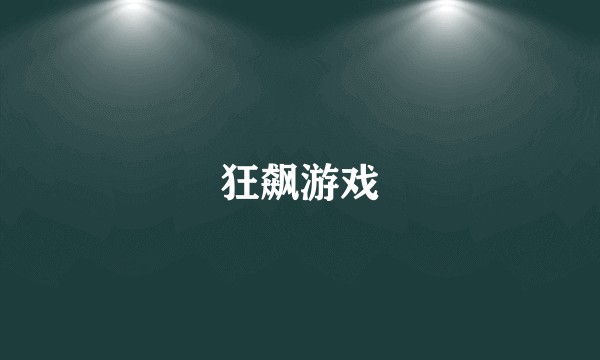 狂飙游戏