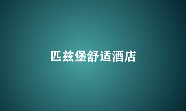 匹兹堡舒适酒店