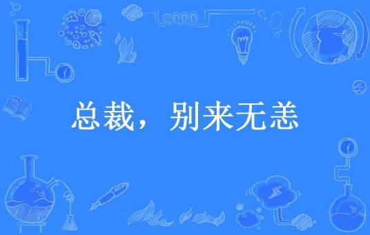 总裁，别来无恙（夏雨晴所著小说）