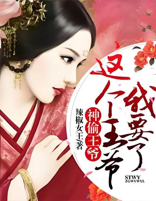神偷王妃:这个王爷我要了