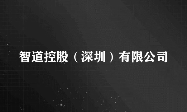智道控股（深圳）有限公司