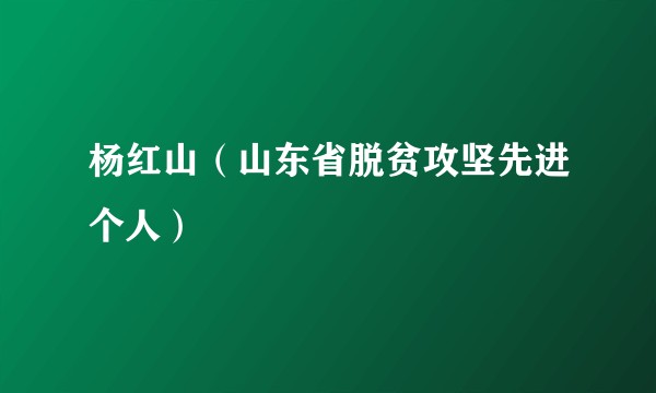 杨红山（山东省脱贫攻坚先进个人）