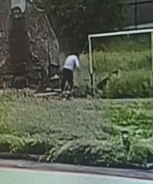 8·12漠河民警触电身亡事件