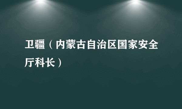 卫疆（内蒙古自治区国家安全厅科长）