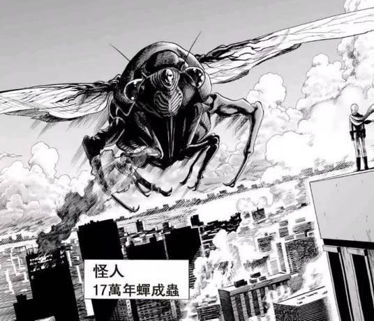 十七万年蝉成虫