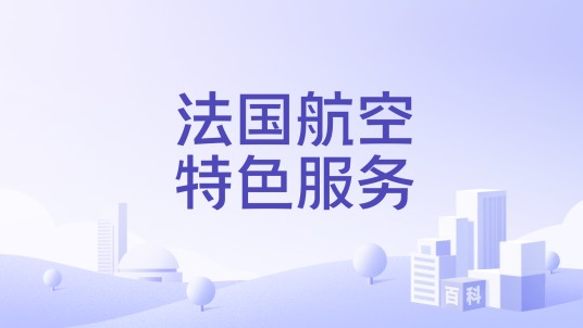 法国航空特色服务