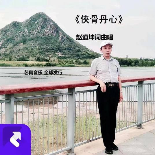 侠骨丹心（赵道坤演唱的歌曲）