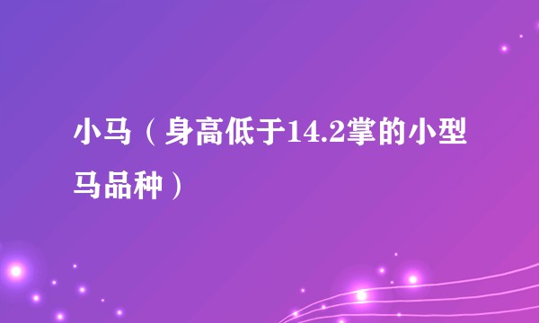 小马（身高低于14.2掌的小型马品种）