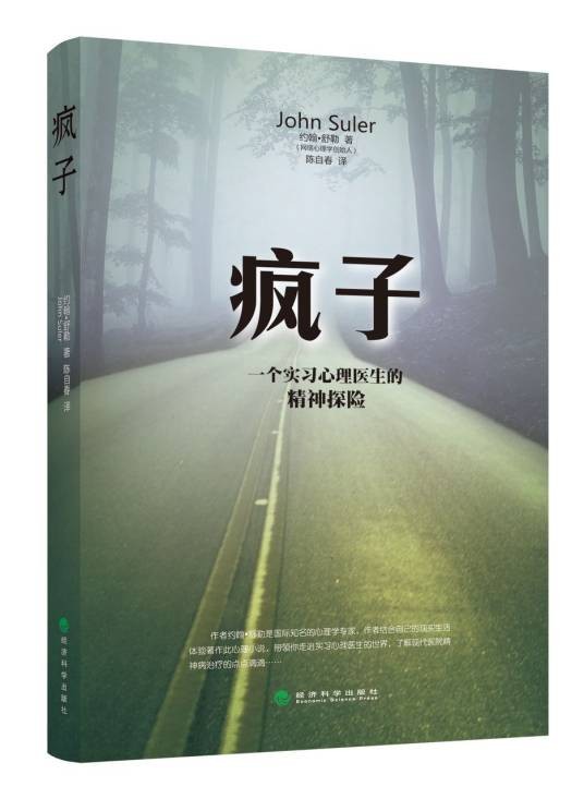 疯子-一个实习心理医生的精神探险