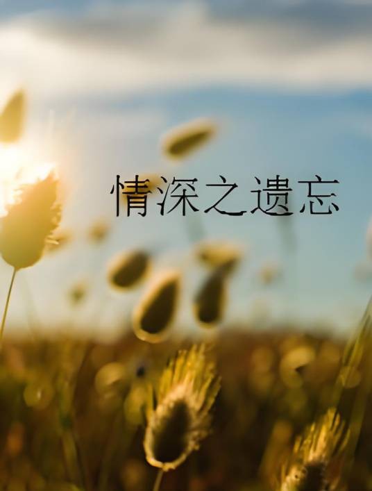 情深之遗忘