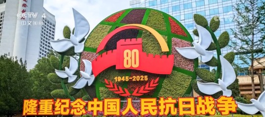 军事和外交盛会