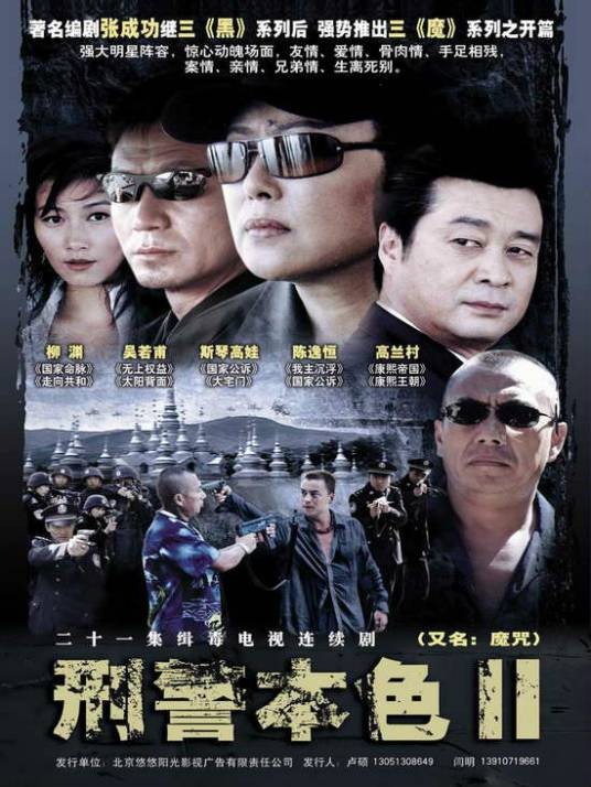 刑警本色2（2005年刘光执导的电视剧）