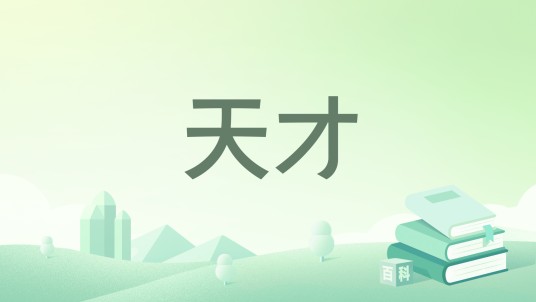 天才（2008年上海译文出版社出版的图书）