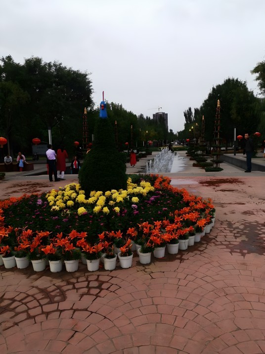 乌海市植物园
