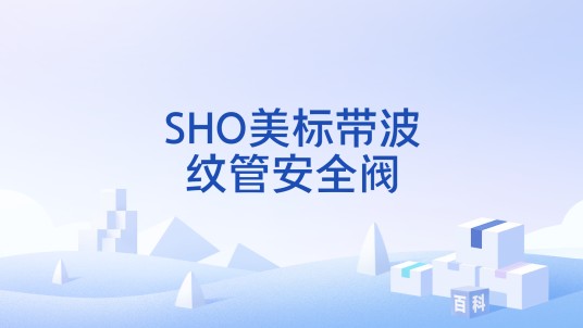 SHO美标带波纹管安全阀
