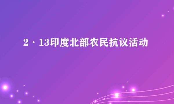 2·13印度北部农民抗议活动