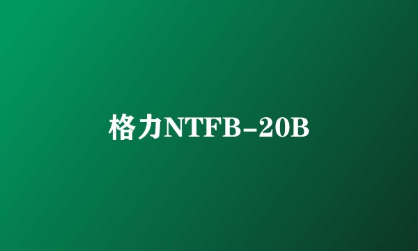 格力NTFB-20B