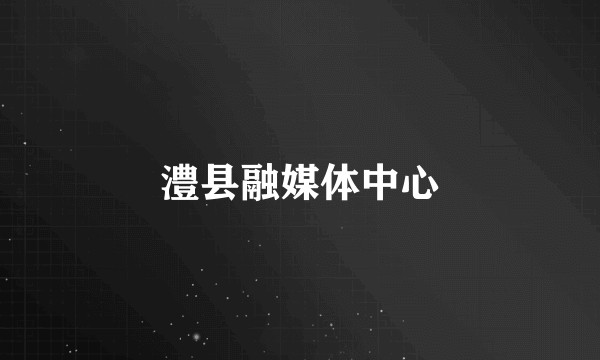 澧县融媒体中心