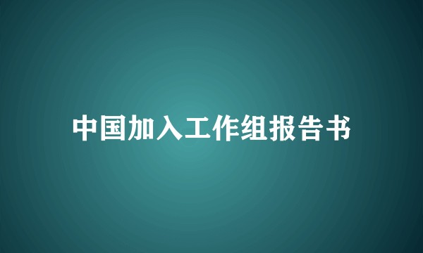 中国加入工作组报告书