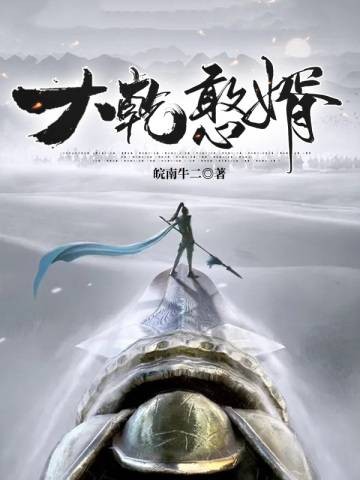 大乾憨婿（皖南牛二创作的架空历史小说）