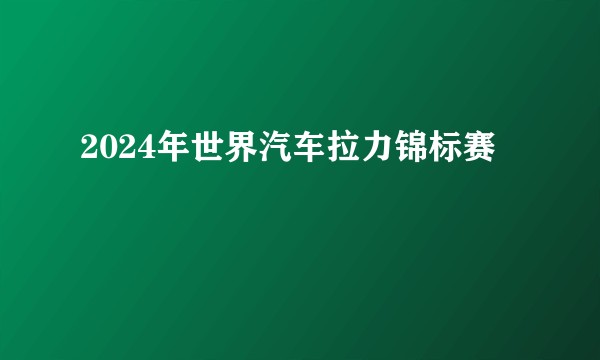 2024年世界汽车拉力锦标赛