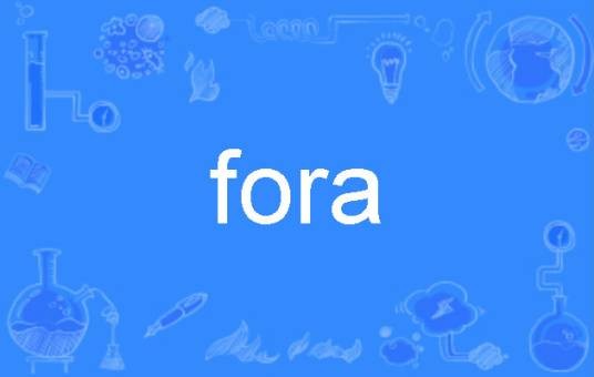fora（英语单词）