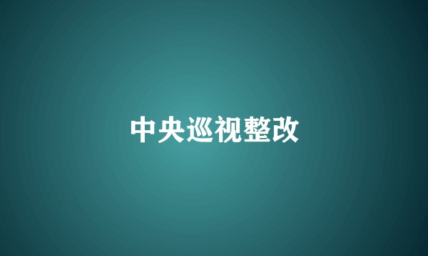 中央巡视整改
