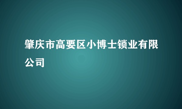 肇庆市高要区小博士锁业有限公司