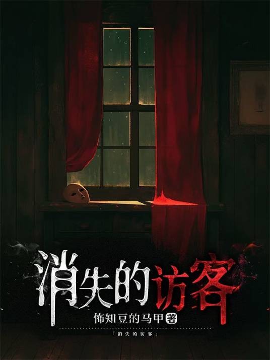 消失的访客