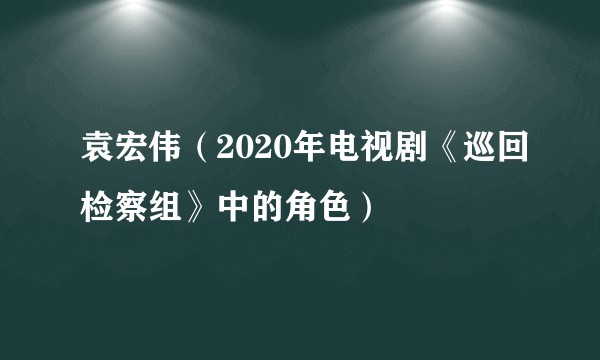 袁宏伟(2020年电视剧《巡回检察组》中的角色)