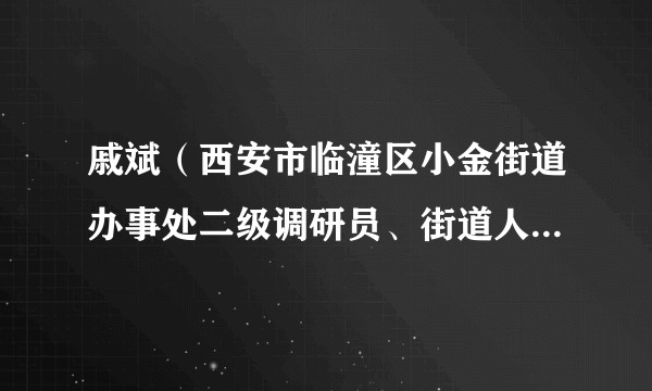戚斌（西安市临潼区小金街道办事处二级调研员、街道人大工委原主任）