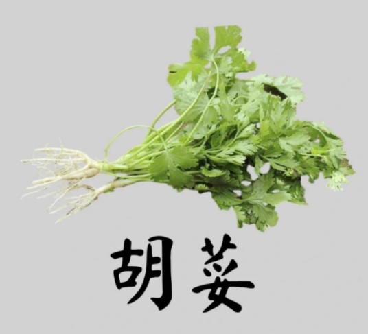 胡荽（药材）