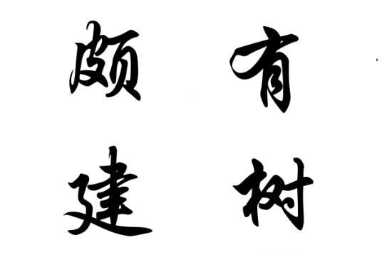 颇有建树