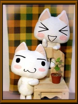 多罗猫