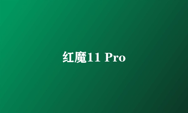 红魔11 Pro