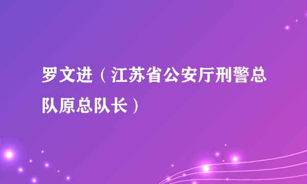 罗文进(江苏省公安厅刑警总队原总队长)
