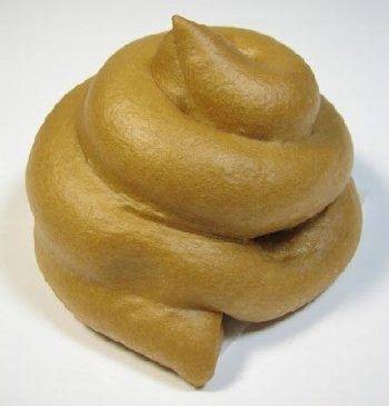 粪便