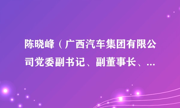 陈晓峰（广西汽车集团有限公司党委副书记、副董事长、总经理）