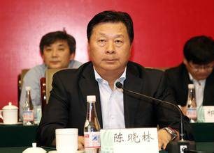 陈晓林(国家电网有限公司原物资部主任)
