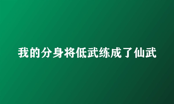 我的分身将低武练成了仙武