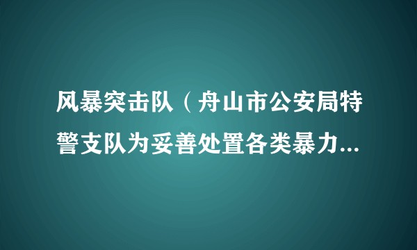 风暴突击队（舟山市公安局特警支队为妥善处置各类暴力性、突发性案（事）件）