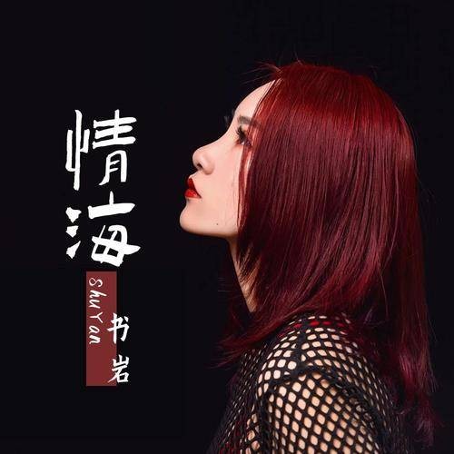情海（书岩2021年演唱的歌曲）