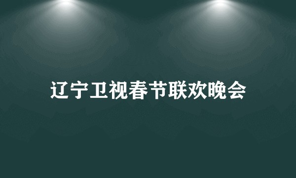 辽宁卫视春节联欢晚会